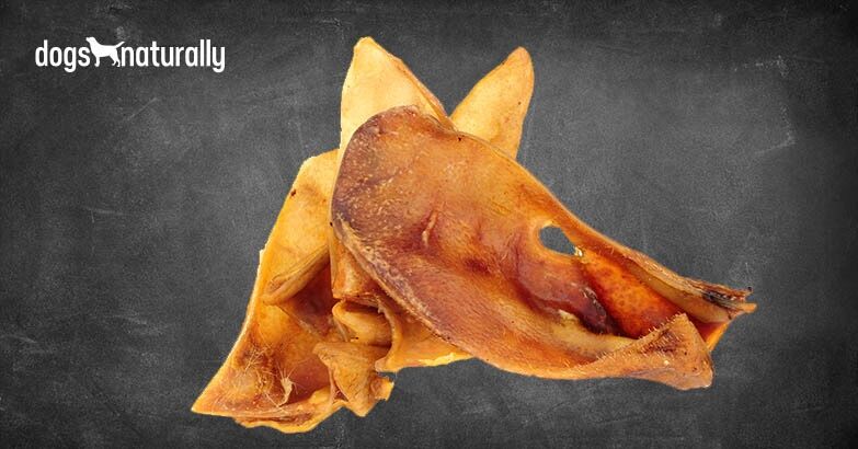 are pig ears better for a aidi than rawhide ears