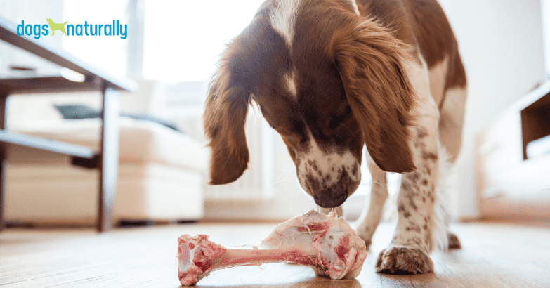 Can puppies eat marrow bones best sale