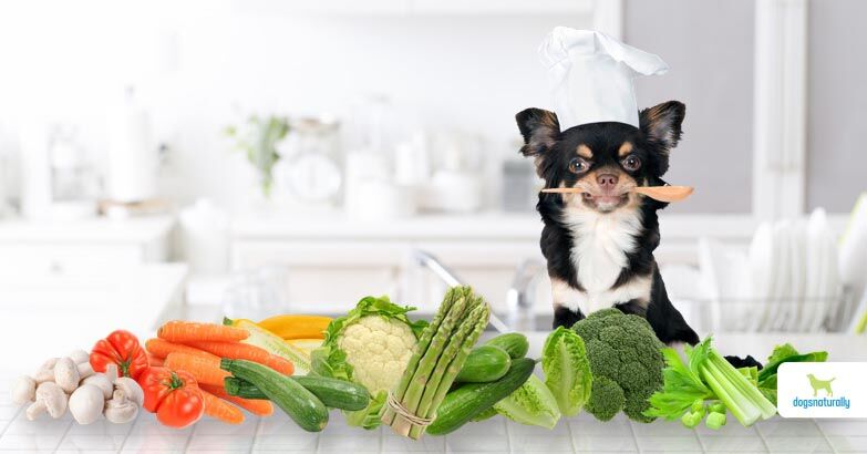 Healthiest veggies for dogs best sale