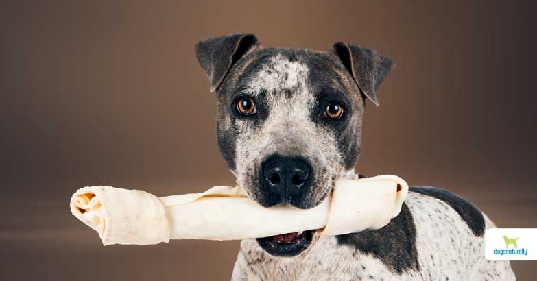 Can puppies eat rawhide bones best sale