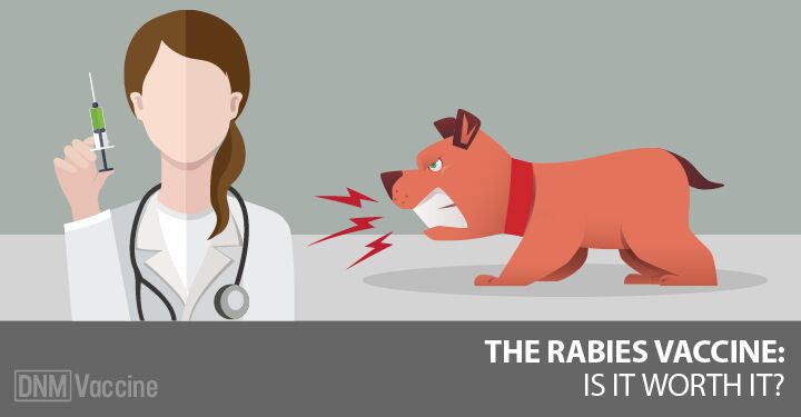 Can vaccinated dogs still get rabies?