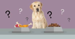 can you mix raw dog food with kibble - Dogs Naturally can you mix raw dog food with kibble