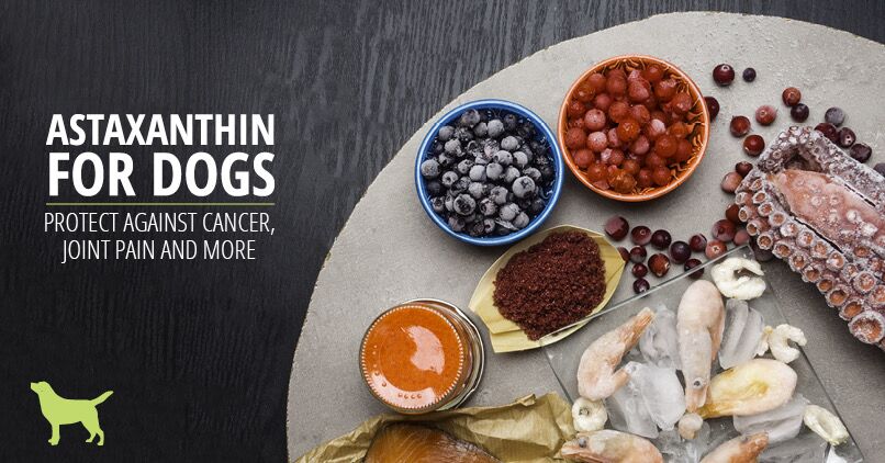 product-1-1 Astaxanthin: Protect Against Cancer, Joint Pain And More!