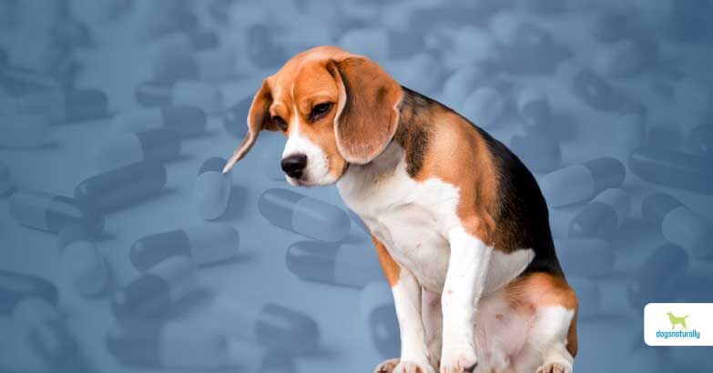 Smart hydration and gentle electrolytes