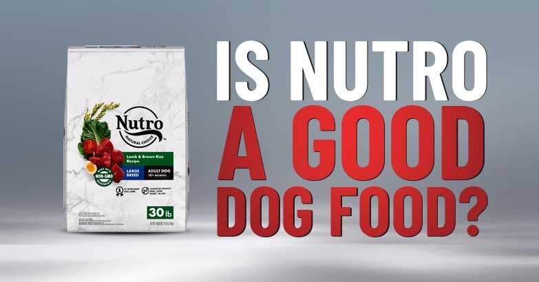 Nutro Dog Food Reviews
