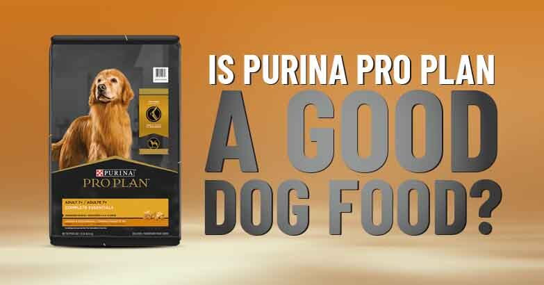 Purina Pro Plan Dog Food Review