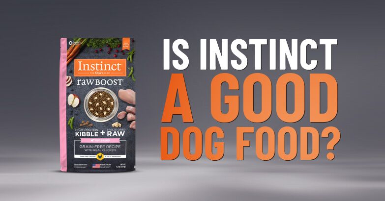 best wellness core dog food 24lb. Wellness Core Ocean Dog Food