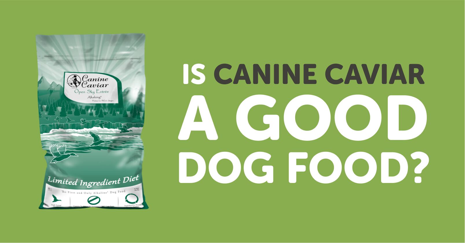 does canine caviar have vitamin e and l carnitine Canine Caviar Dog Food Review