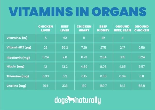 How Much Organ Meat Should I Feed My Dog