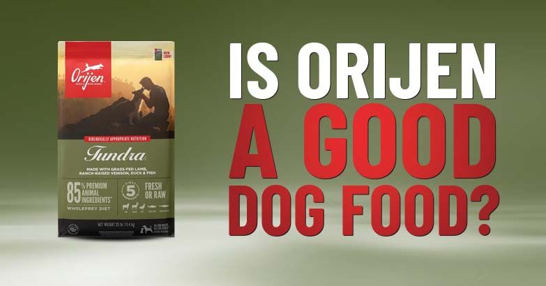 orijen dog food company
