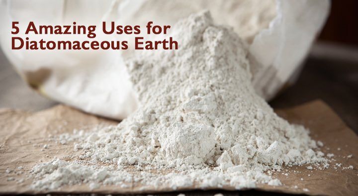 diatomaceous earth for dogs - Dogs Naturally diatomaceous earth for dogs